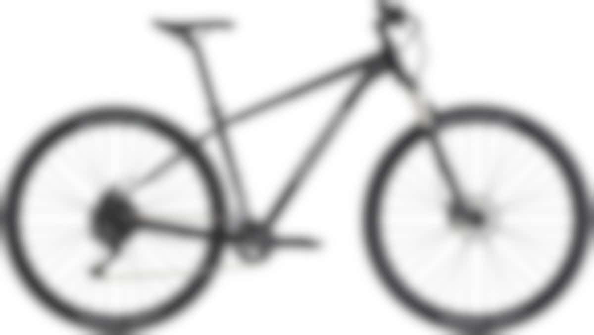 Cannondale 29 M Trail 5 GRA LG (x) - Cannondale