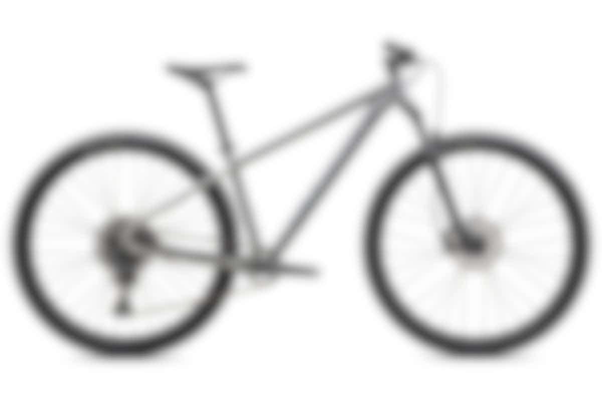 Rockhopper Expert 29 Sildst/blkhlg Xl - Specialized