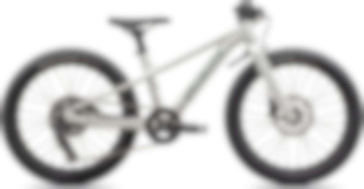 Riprock 20 Int Dunewht/pngrn 20 - Specialized