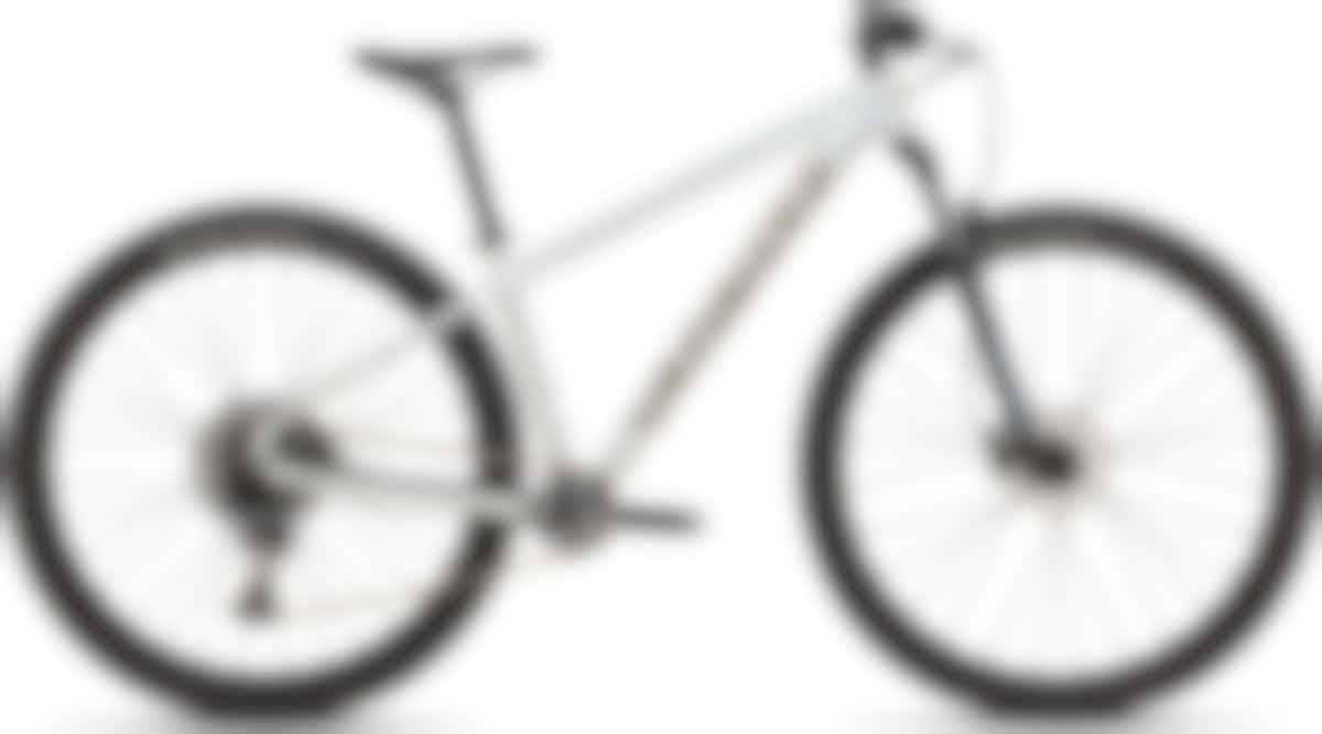 Rockhopper Expert Vn Sildst/bntgldmet M - 29 - Specialized