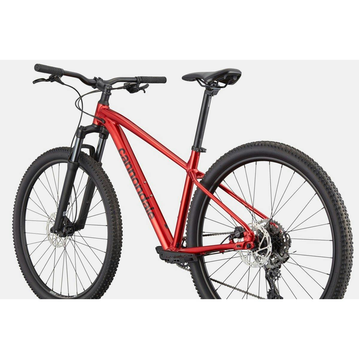 Trail 2 - Cannondale