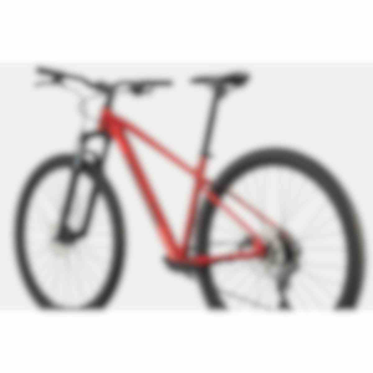 Trail 2 - Cannondale