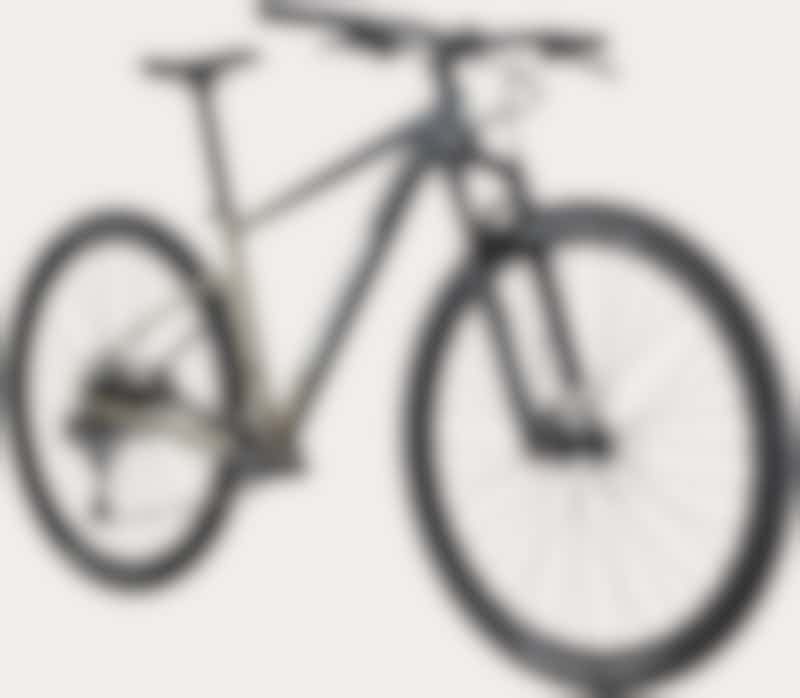 Trail 1  - Cannondale