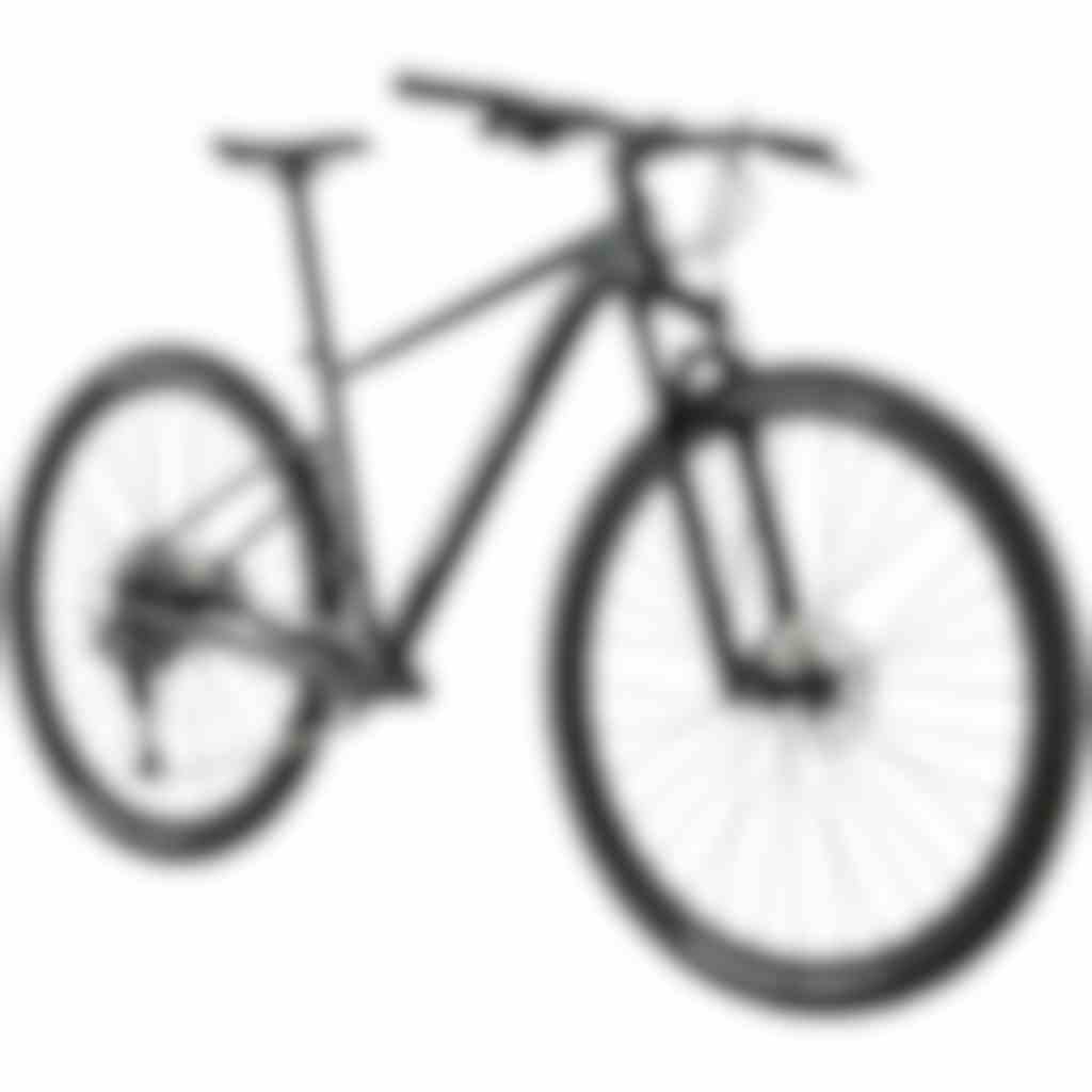 Trail SL3 - Cannondale